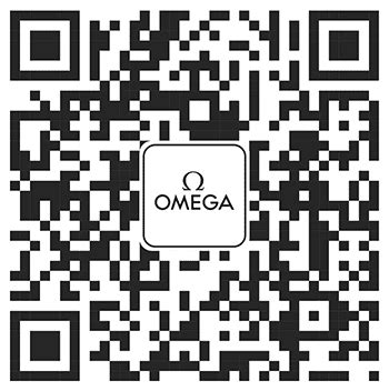 omega副廠錶帶|所有 表鏈帶及表帶 .